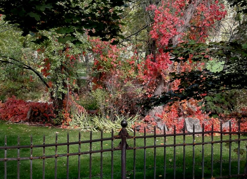 Outdoors view Photo