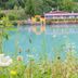 The River Village in Interlaken with a lakeside view framed by wildflowers and greenery