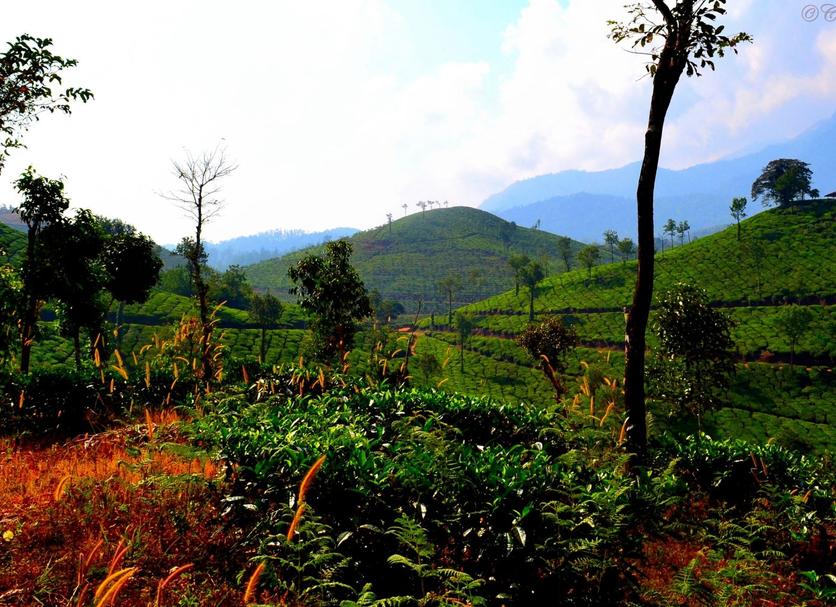 Outdoors view Photo