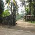 Outdoors view
