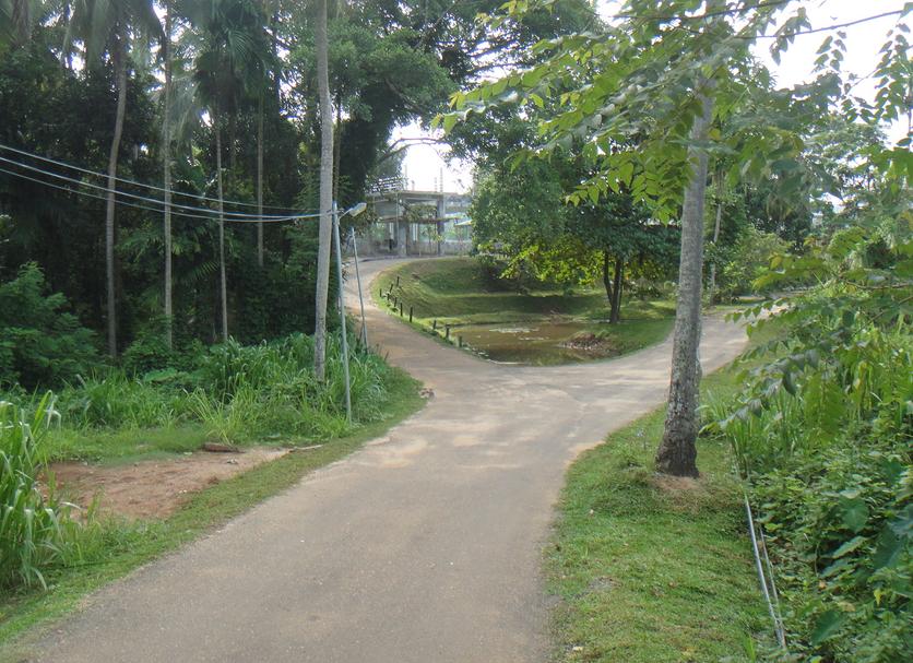 Outdoors view Photo