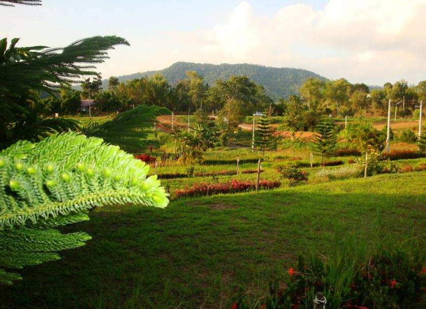 Outdoors view Photo