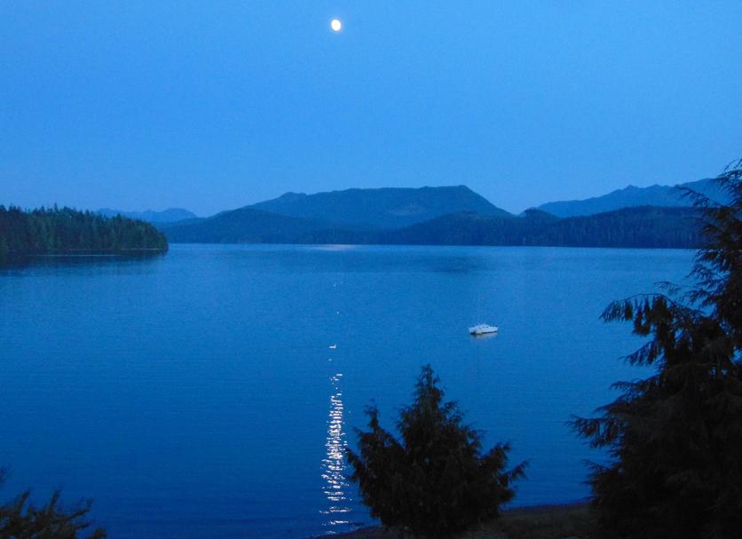 Outdoors view Photo