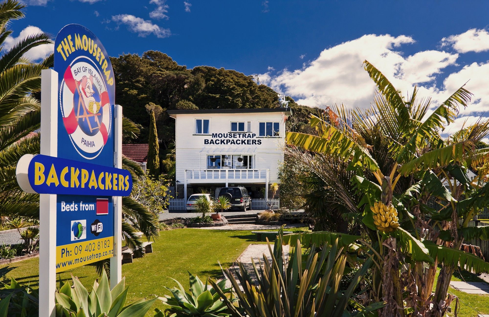 Mousetrap Backpackers in Paihia with tropical garden and palm trees outside the hostel