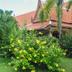 Outdoors view