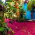 Pousada Aldeia in Velha Boipeba, tropical courtyard with lush greenery and vivid pink ground