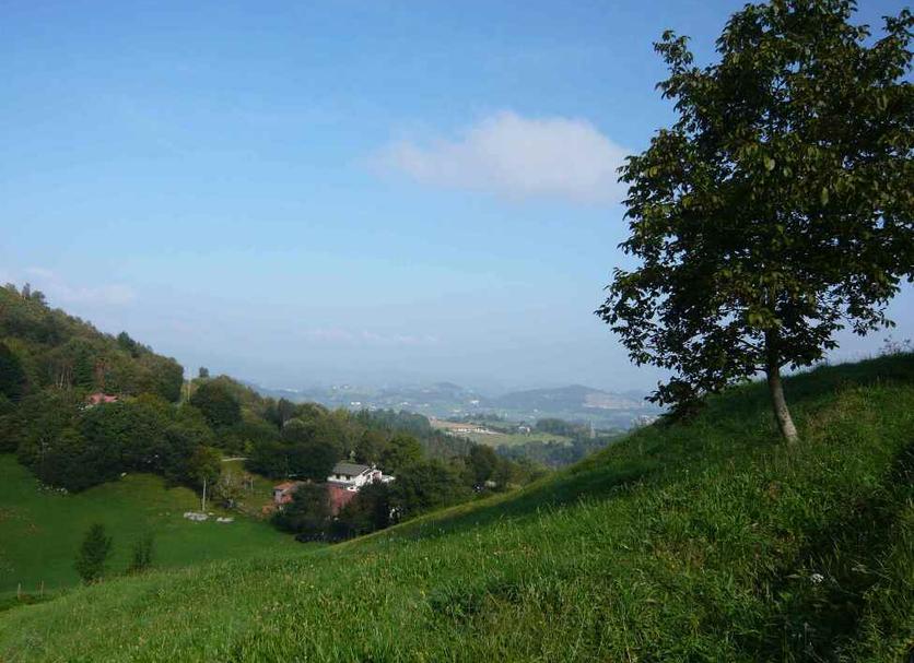 Outdoors view Photo