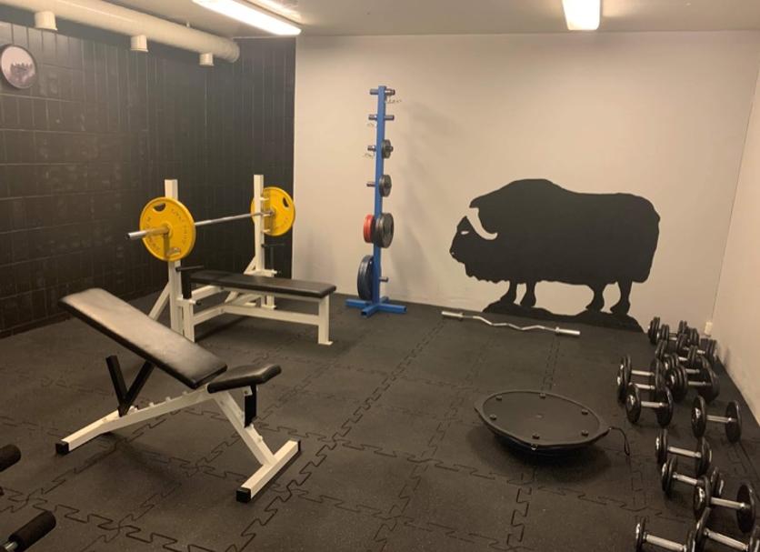 Gym Photo