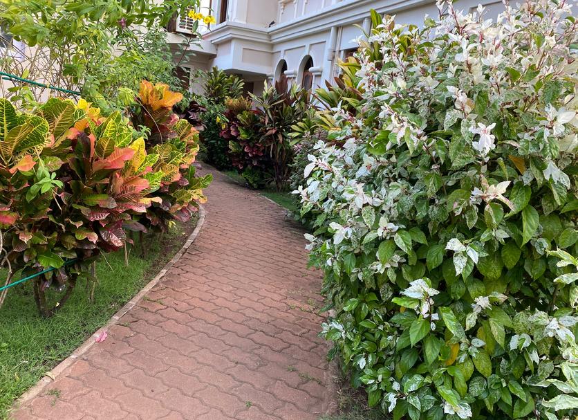 Outdoors view Photo