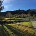 Woolshed Bed & Breakfast in Takaka with landscaped grounds, gravel path, fenced fields and mountain views