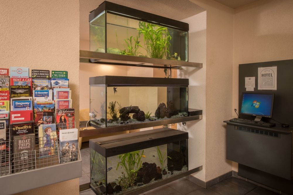 Room amenity