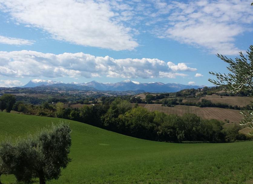 Outdoors view Photo