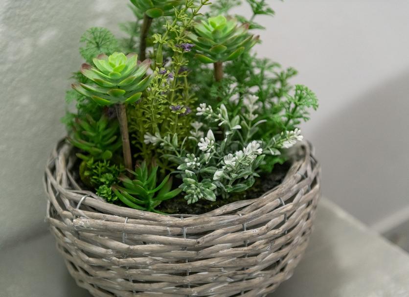 Decor Photo
