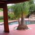Outdoors view
