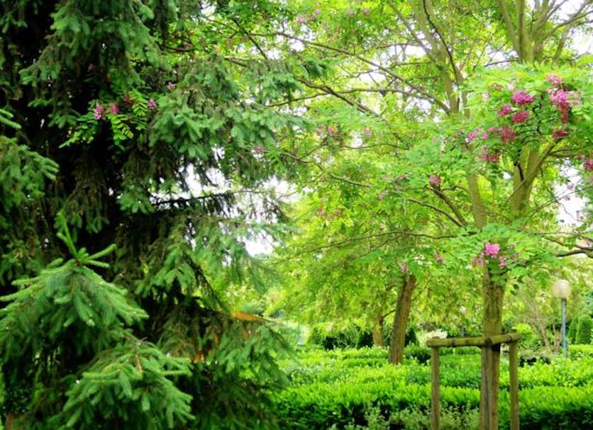 Outdoors view Photo