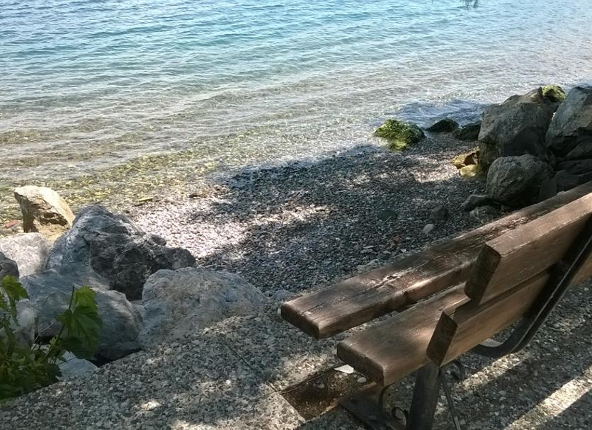 Other Photo