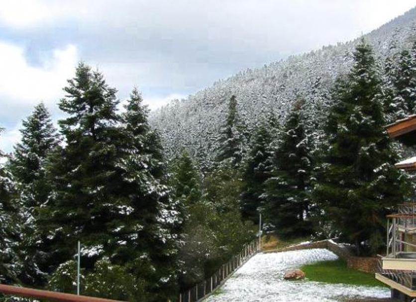 Outdoors view Photo