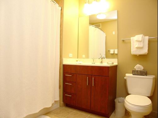 Chicago Property Concierge at 215 West - Chicago - Bathroom
