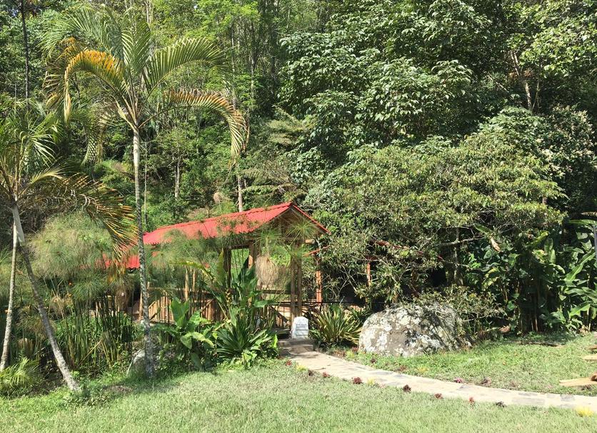 Outdoors view Photo