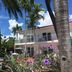 Birch Patio Motel in Fort Lauderdale with palm trees, purple flowers, and a two-story patio courtyard