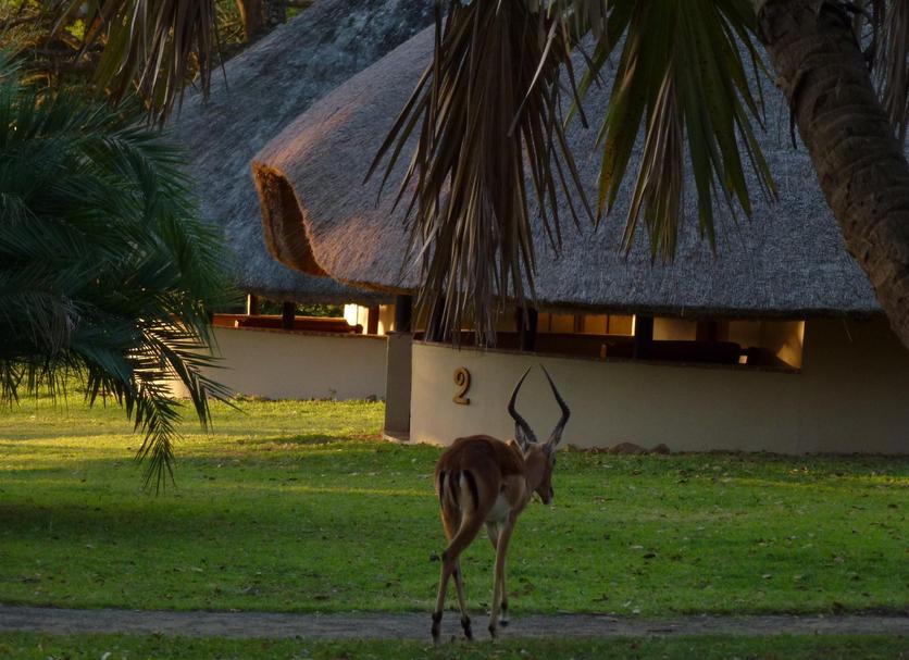 Outdoors view Photo