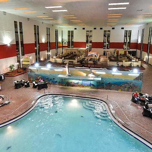Magnuson Grand Hotel Maingate West - Kissimmee - Pool