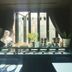 Friendly DH Naissance Hotel by Mindrum Group room with city-view window and plant display in Seoul