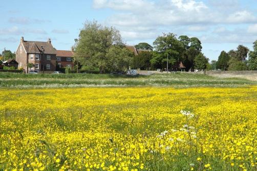 Harmony House Bed & Breakfast - York