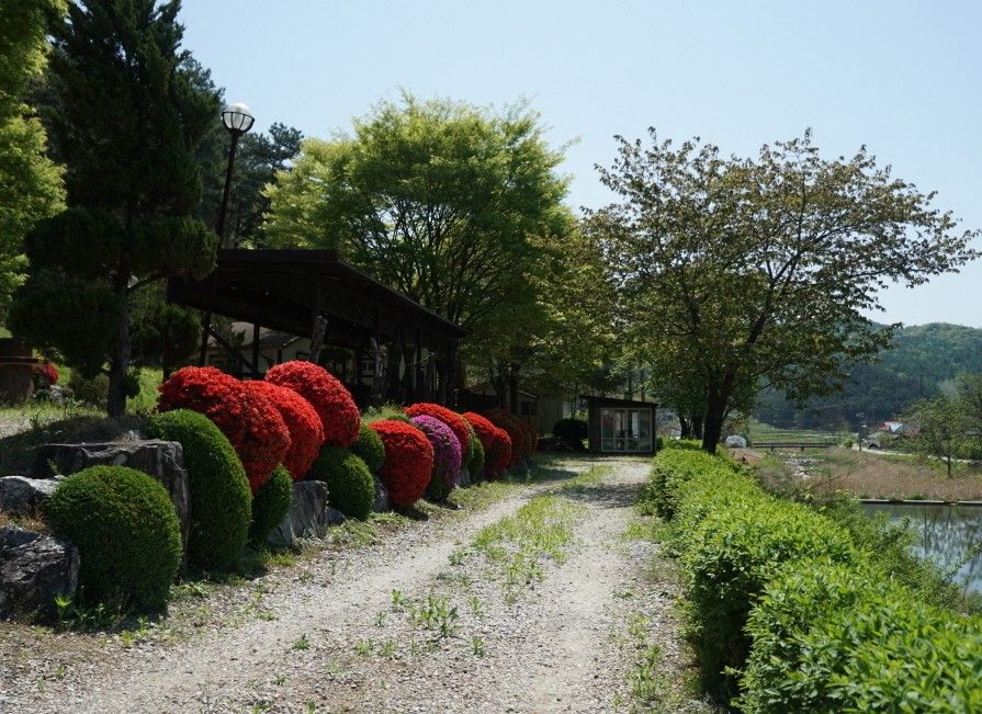 Outdoors view
