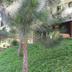Outdoors view
