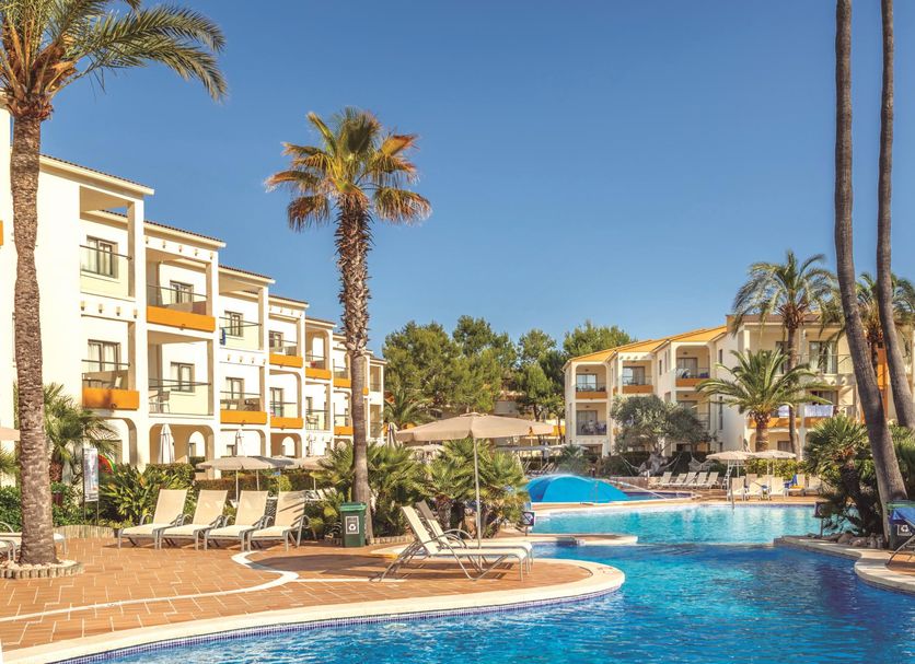 Zafiro Tropic in Alcúdia with a palm-lined outdoor pool and sun loungers