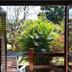 Outdoors view