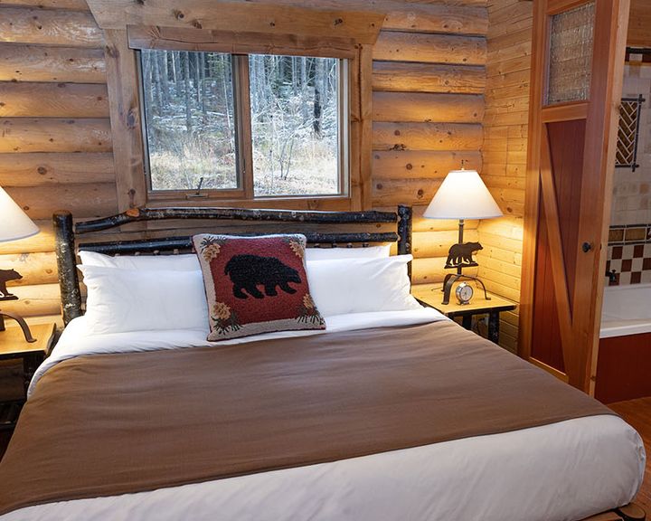 Are Dog Allowed At Mountain Lodge Park Ny