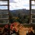 Outdoors view