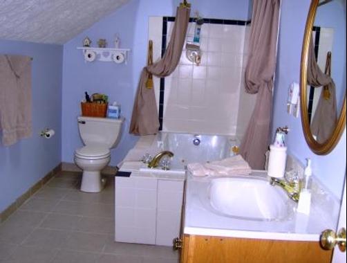 Big Locust Farm Bed and Breakfast - Paoli - Bathroom