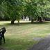 Outdoors view