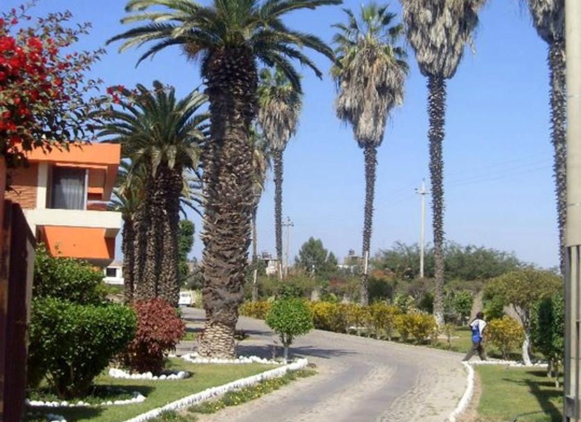Outdoors view Photo