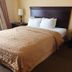 Stargazer Inn and Suites Monterey guest room with queen bed, nightstands, lamps, and window curtains