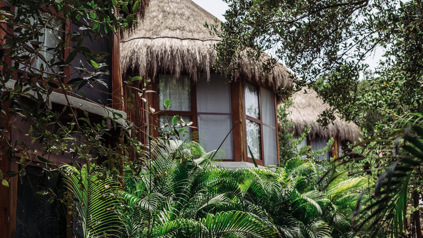 Mamasan Treehouses & Cabins