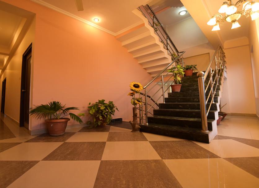 Stairs Photo