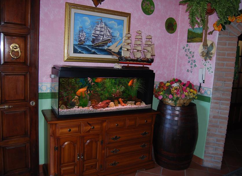 Hotel amenity Photo