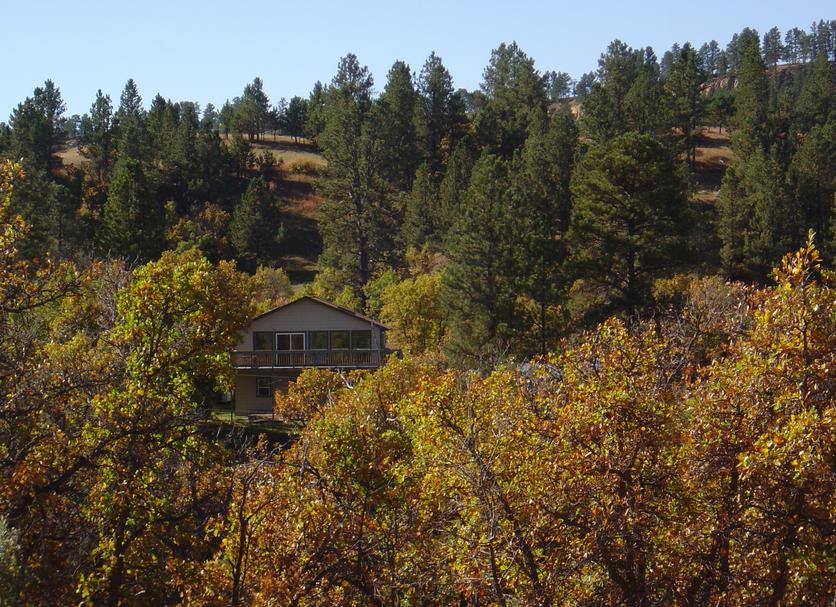 Outdoors view Photo