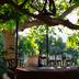 Outdoors view