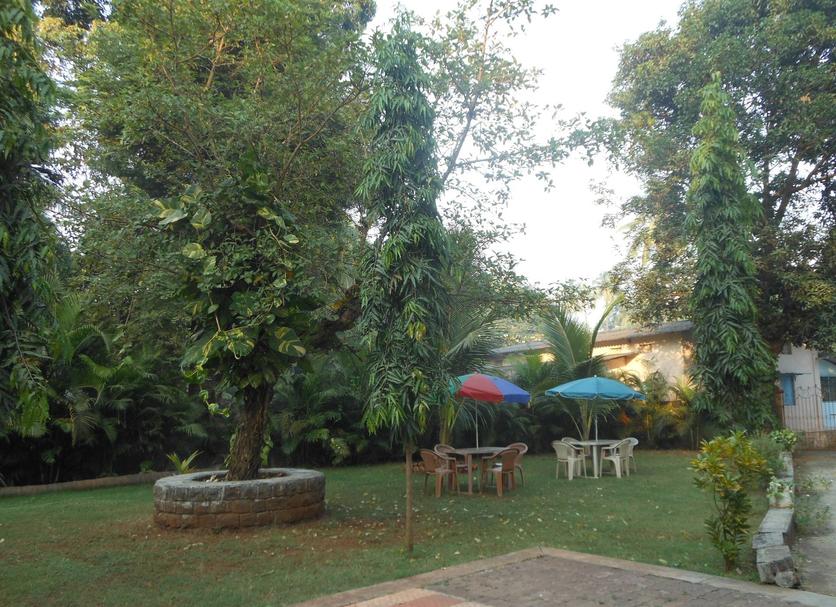 Patio Photo