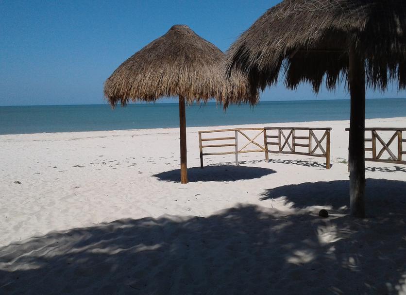 Beach Photo