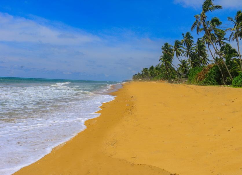 Beach Photo