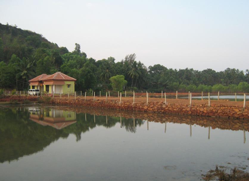 Outdoors view Photo