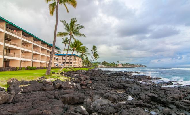 Raintree's Kona Reef