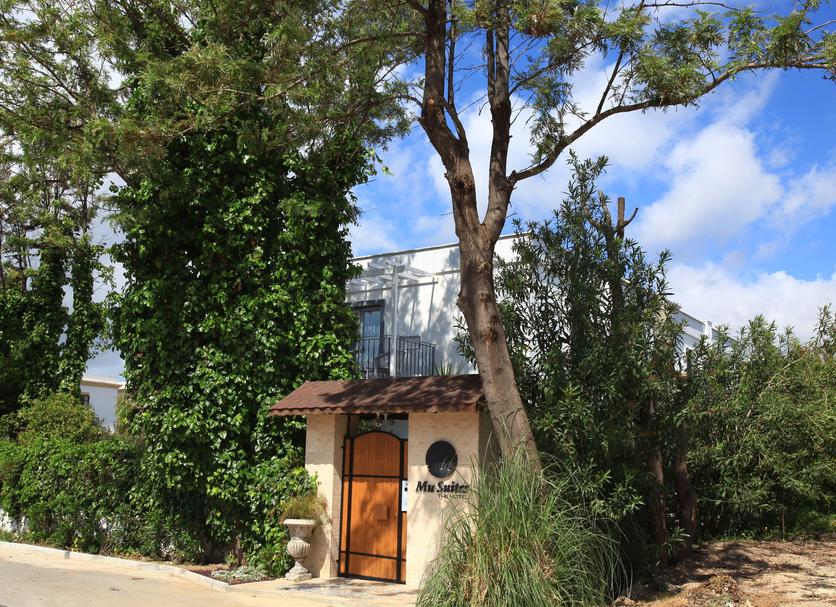 Outdoors view Photo