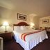 Motel Zuma in Williamsburg guest room with king bed, two bedside lamps, desk, and wall art